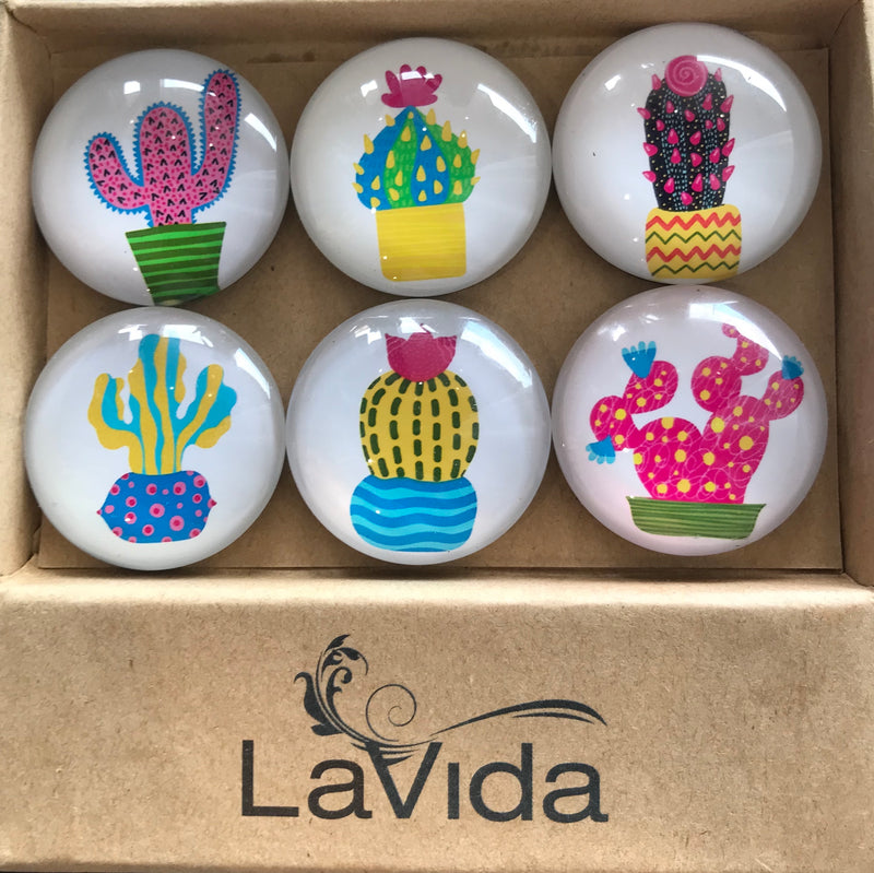 LaVida 6 Pack Magnets - Cactus