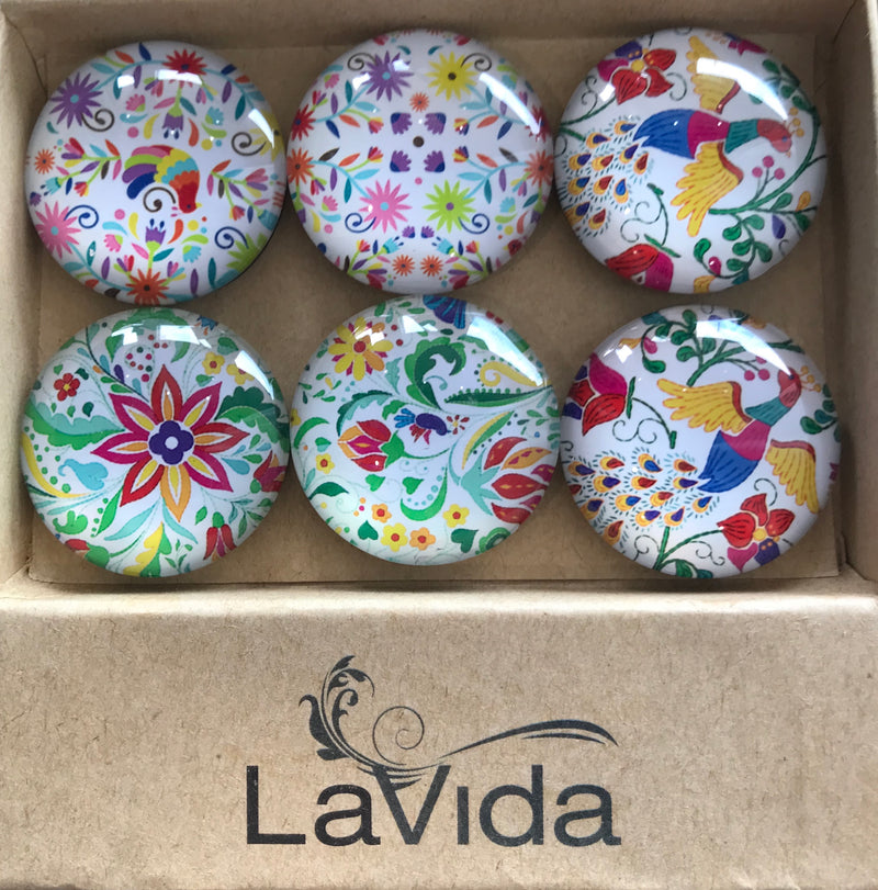 LaVida 6 Pack Glass Magnets - Rainbow Florals